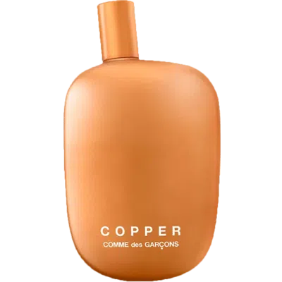 Comme Des Garçons Parfums Eau De Parfum In Transparent