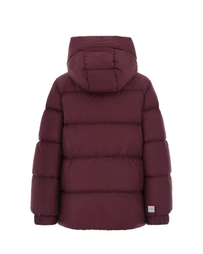 Max Mara Hooded Channel-quilted Down Jacket In Multi