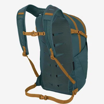 Osprey Daylite Plus Backpack In Green