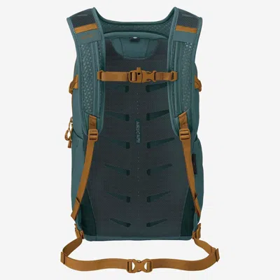 Osprey Daylite Plus Backpack In Green