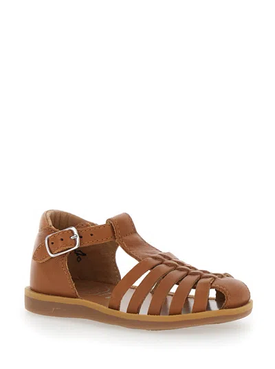 Pom D'api Sandal In Brown