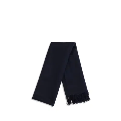 Max Mara Baci Scarf In Navy