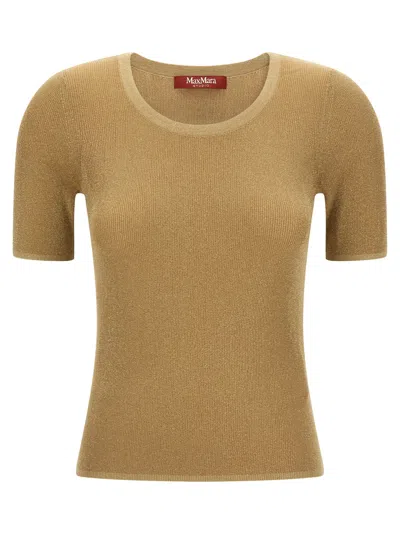Max Mara Short Sleeve Knit Top Mstsequoia In Brown
