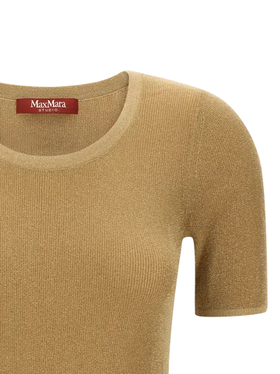Max Mara Short Sleeve Knit Top Mstsequoia In Brown