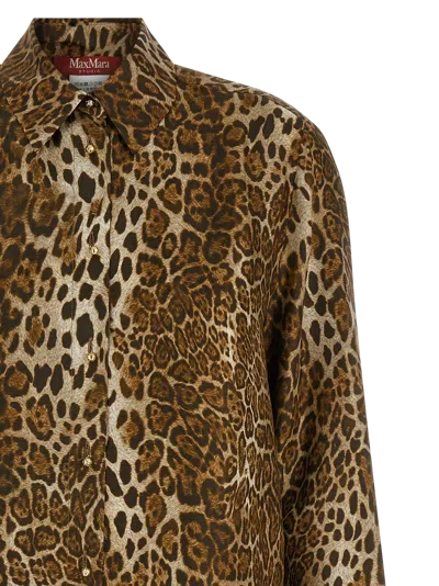 Max Mara Blouse In Brown