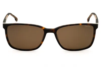 Chesterfield Ch21s Polarized Rectangular Sunglasses In Brown