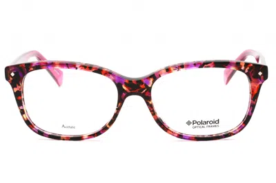 Polaroid Core Pldd321 Eyeglasses In Brown