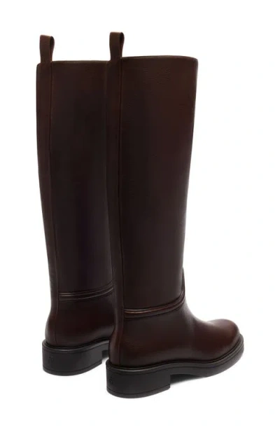 Stuart Weitzman Celia Riding Boot In Walnut