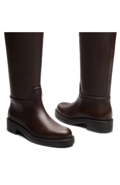 Stuart Weitzman Celia Riding Boot In Walnut