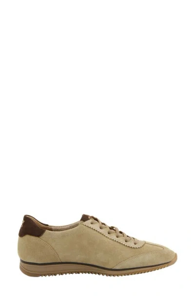 Paul Green Bellevue Sneaker In Grain Choco Combo