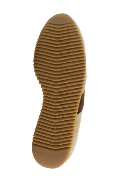 Paul Green Bellevue Sneaker In Grain Choco Combo