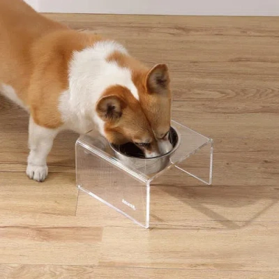 The Licker Store Keaton Modern Lucite Rectangular Elevated Pet Feeder With 2-stainless Steel Bowls In White