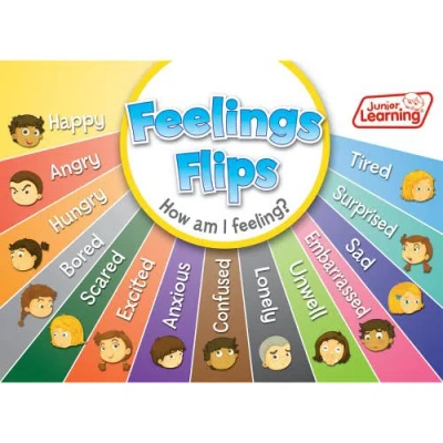 Junior Learning Flip Chart Feelings Flash Cards In Multi