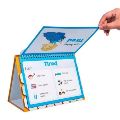 Junior Learning Flip Chart Feelings Flash Cards In Multi