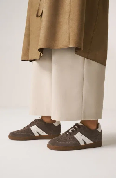 Frankie4 Levi Sneaker In Sable Suede