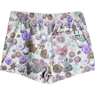 Kavu Kick Out Board Short In Multi