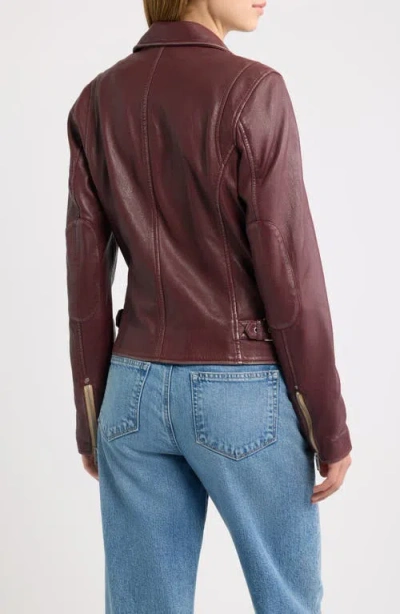 Mauritius Sofia Lambskin Moto Jacket In Wine