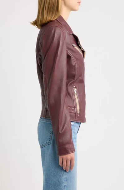 Mauritius Sofia Lambskin Moto Jacket In Wine