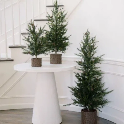 Cg Hunter 2' Pine Tree In Green