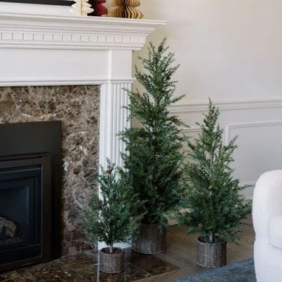 Cg Hunter 2' Pine Tree In Green