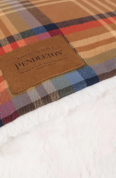 Pendleton Burrow Pet Bed In Multi