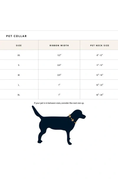 Pendleton National Park Adventure Collar In Multi