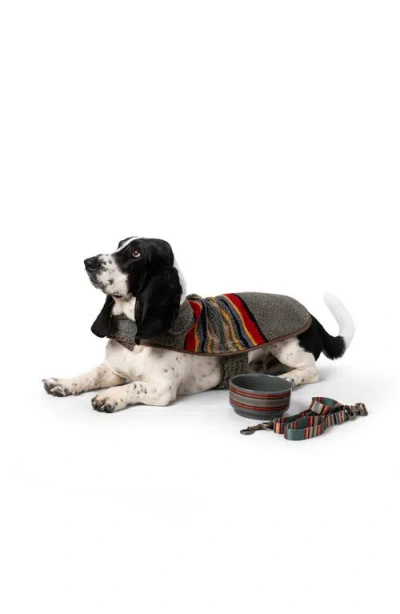 Pendleton Vintage Camp Adventure Leash In Multi