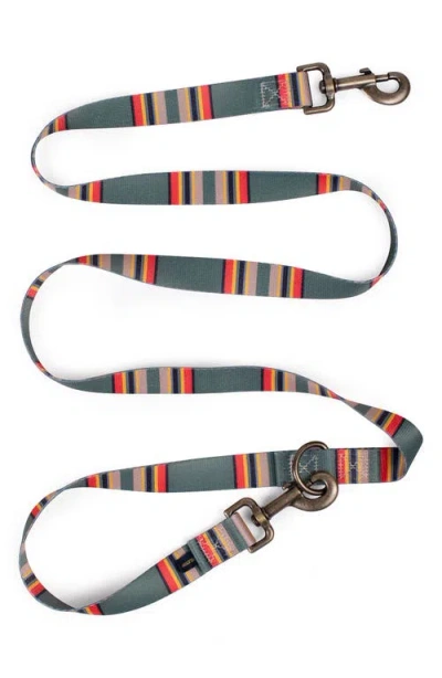 Pendleton Vintage Camp Adventure Leash In Multi