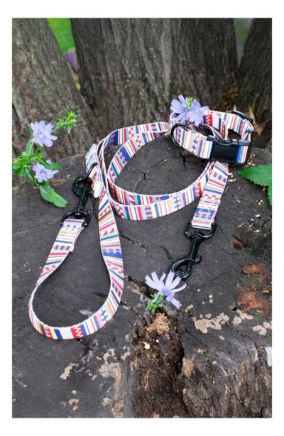 Pendleton Adventure Collar In Multi