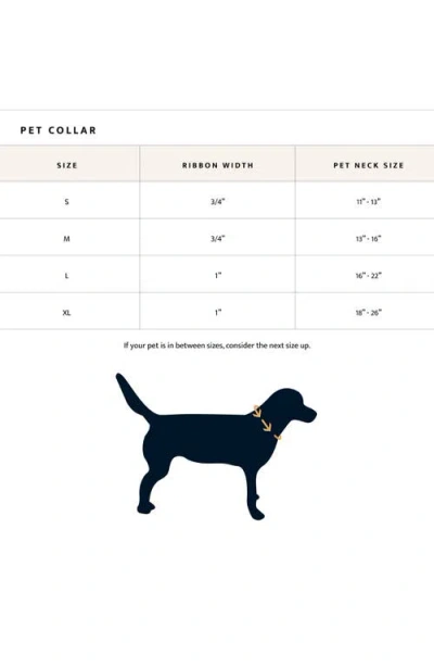 Pendleton Adventure Collar In Multi