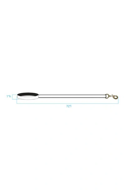Pendleton National Park Adventure Leash In Multi
