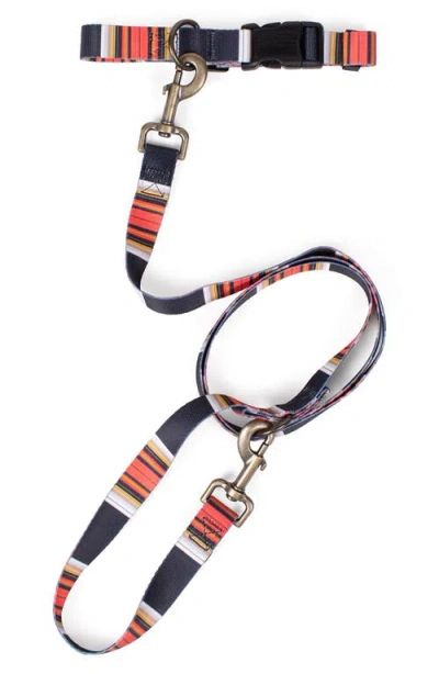Pendleton National Park Adventure Leash In Multi