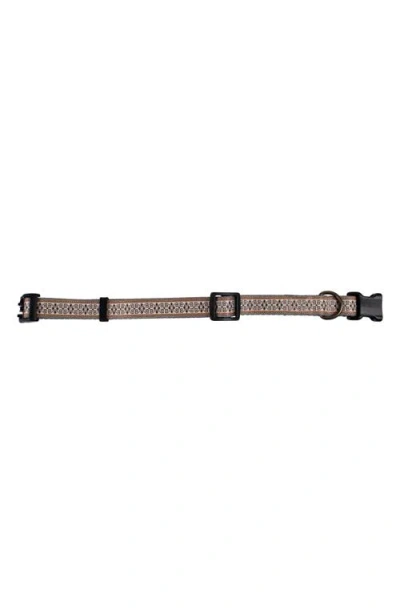 Pendleton Adventure Collar In Brown