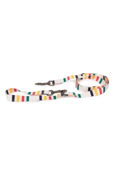 Pendleton National Park Adventure Leash In Multi