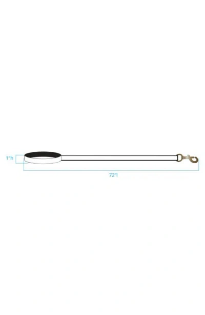 Pendleton National Park Adventure Leash In Multi