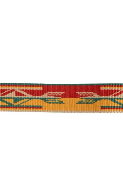 Pendleton Heritage Leash In Brown