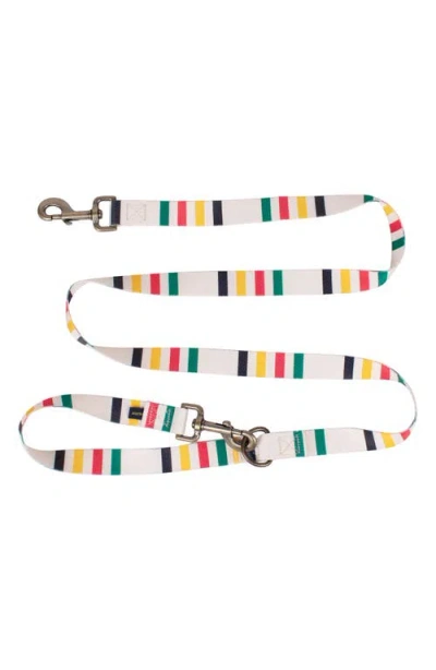 Pendleton National Park Adventure Leash In Multi