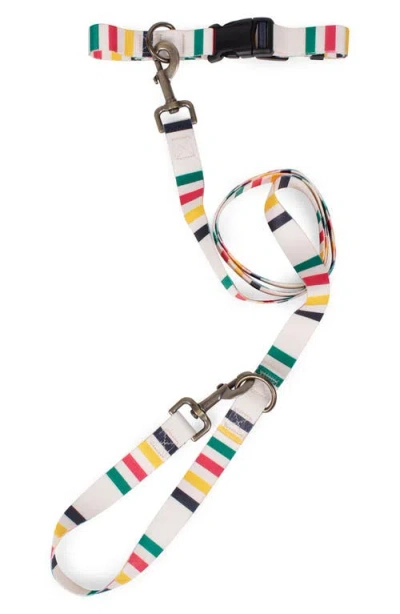 Pendleton National Park Adventure Leash In Multi