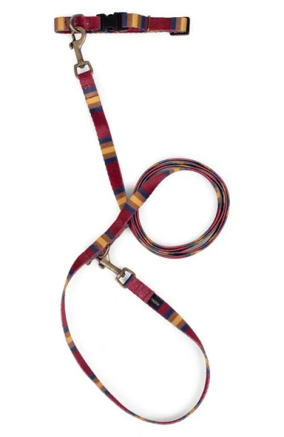 Pendleton National Park Adventure Collar In Multi