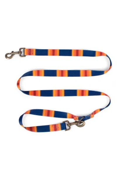 Pendleton National Park Adventure Leash In Multi