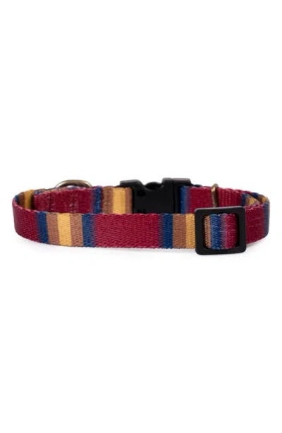 Pendleton National Park Adventure Collar In Multi