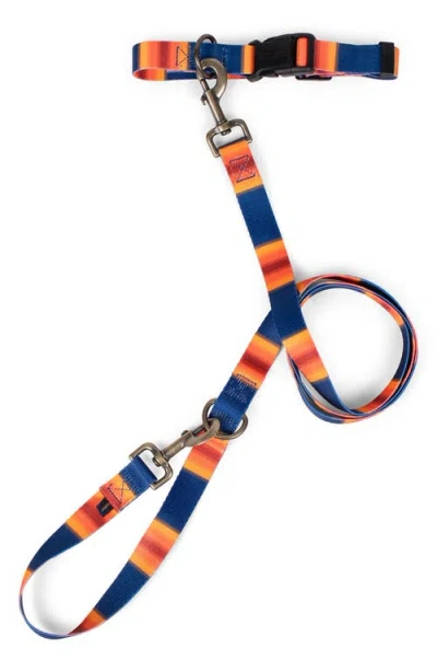Pendleton National Park Adventure Leash In Multi