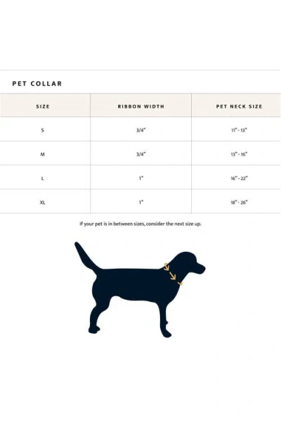 Pendleton Vintage Camp Adventure Collar In Multi