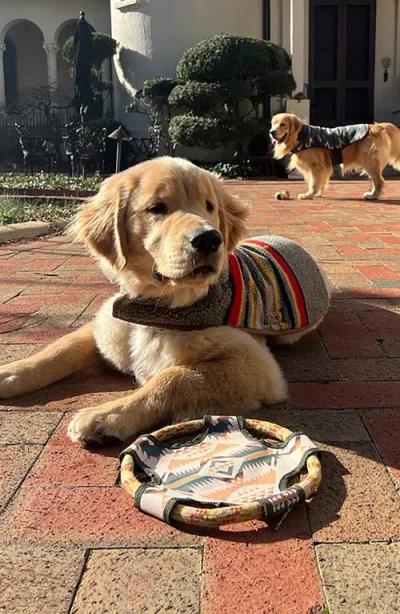 Pendleton Flying Disc Rope Dog Toy In Multi
