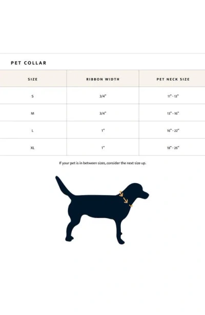 Pendleton Adventure Collar In Blue