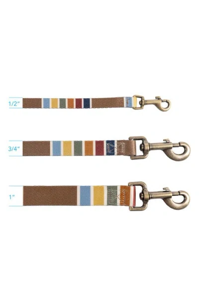 Pendleton National Park Adventure Leash In Multi