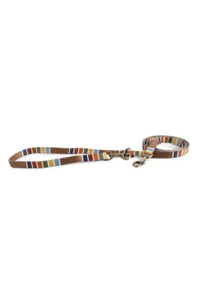Pendleton National Park Adventure Leash In Multi