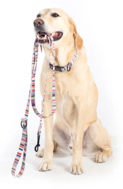 Pendleton Adventure Leash In Multi