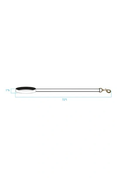 Pendleton Adventure Leash In Multi