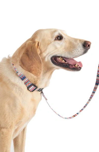 Pendleton Adventure Leash In Multi